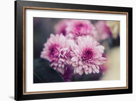 Pink Flowers-Carolina Hernandez-Framed Photographic Print