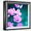 Pink Flowers-null-Framed Photographic Print