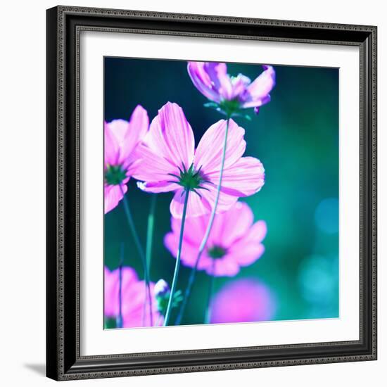 Pink Flowers-null-Framed Photographic Print