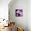 Pink Flowers-null-Photographic Print displayed on a wall