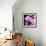 Pink Flowers-null-Framed Photographic Print displayed on a wall