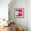 Pink Flowers-null-Framed Photographic Print displayed on a wall