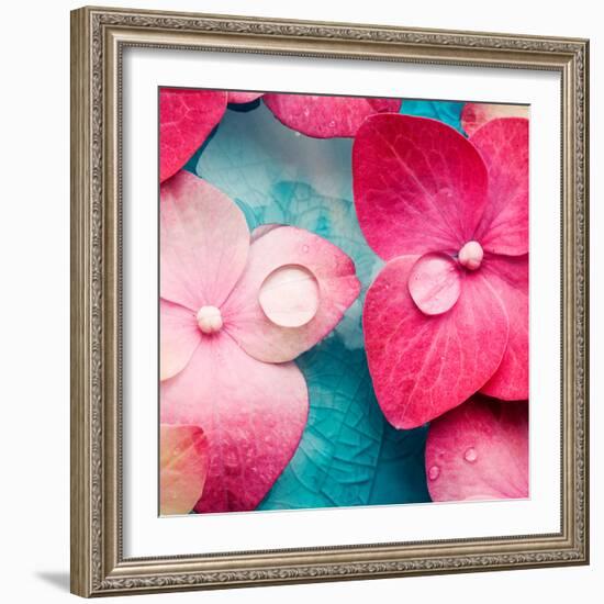 Pink Flowers-null-Framed Photographic Print