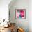 Pink Flowers-null-Framed Photographic Print displayed on a wall