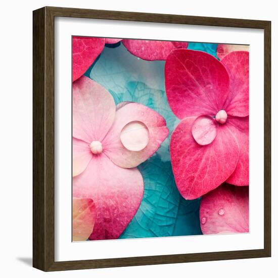 Pink Flowers-null-Framed Photographic Print