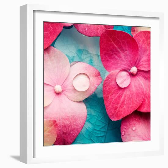 Pink Flowers-null-Framed Photographic Print