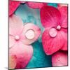 Pink Flowers-null-Mounted Photographic Print