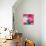 Pink Flowers-null-Mounted Photographic Print displayed on a wall