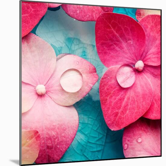 Pink Flowers-null-Mounted Photographic Print