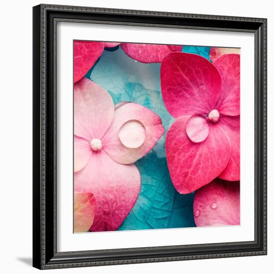 Pink Flowers-null-Framed Photographic Print