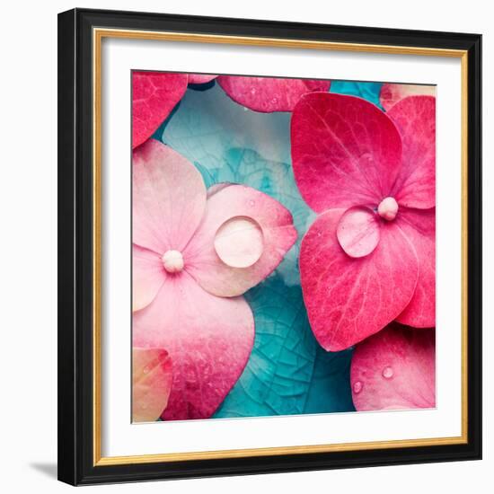 Pink Flowers-null-Framed Photographic Print