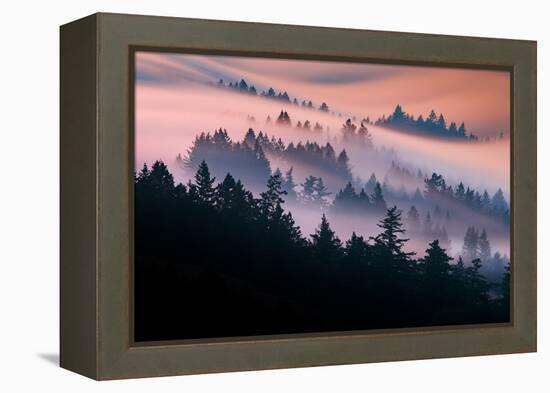 Pink Fog Flow, Sunset Mood and Flow, Marin County, San Francisco-Vincent James-Framed Premier Image Canvas