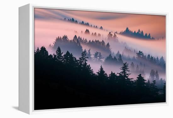 Pink Fog Flow, Sunset Mood and Flow, Marin County, San Francisco-Vincent James-Framed Premier Image Canvas