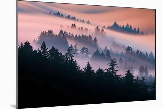 Pink Fog Flow, Sunset Mood and Flow, Marin County, San Francisco-Vincent James-Mounted Photographic Print