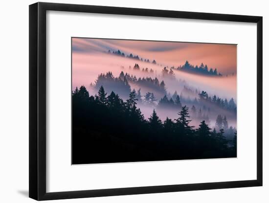 Pink Fog Flow, Sunset Mood and Flow, Marin County, San Francisco-Vincent James-Framed Photographic Print