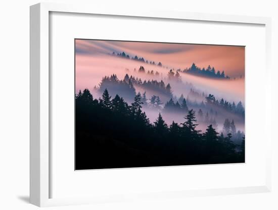 Pink Fog Flow, Sunset Mood and Flow, Marin County, San Francisco-Vincent James-Framed Photographic Print