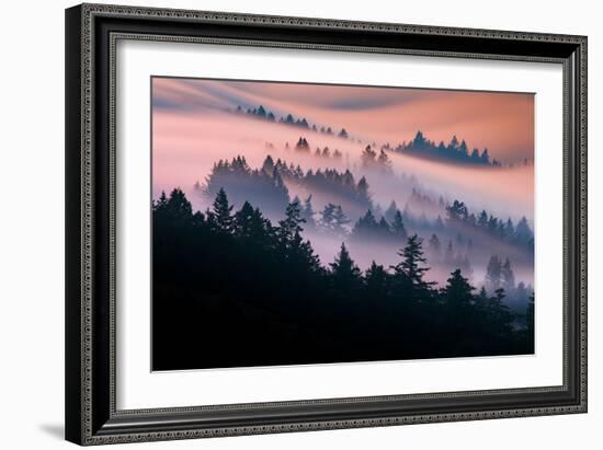 Pink Fog Flow, Sunset Mood and Flow, Marin County, San Francisco-Vincent James-Framed Photographic Print