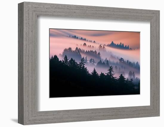 Pink Fog Flow, Sunset Mood and Flow, Marin County, San Francisco-Vincent James-Framed Photographic Print