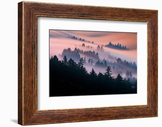 Pink Fog Flow, Sunset Mood and Flow, Marin County, San Francisco-Vincent James-Framed Photographic Print