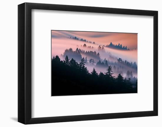 Pink Fog Flow, Sunset Mood and Flow, Marin County, San Francisco-Vincent James-Framed Photographic Print