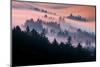 Pink Fog Flow, Sunset Mood and Flow, Marin County, San Francisco-Vincent James-Mounted Photographic Print