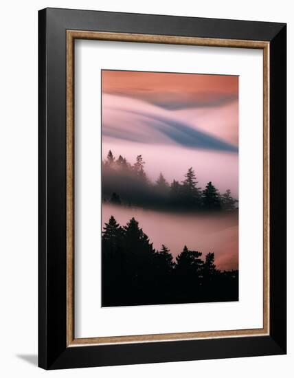 Pink Fog, Sunset Light and Flowing Fog from Pacific Ocean, San Francisco-Vincent James-Framed Photographic Print