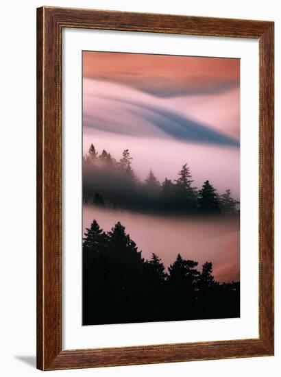 Pink Fog, Sunset Light and Flowing Fog from Pacific Ocean, San Francisco-Vincent James-Framed Photographic Print