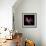 Pink Frazzle-Magda Indigo-Framed Photographic Print displayed on a wall