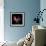 Pink Frazzle-Magda Indigo-Framed Photographic Print displayed on a wall