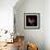 Pink Frazzle-Magda Indigo-Framed Photographic Print displayed on a wall