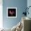 Pink Frazzle-Magda Indigo-Framed Photographic Print displayed on a wall