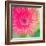 Pink Fun I-Susan Bryant-Framed Photographic Print