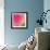 Pink Fun I-Susan Bryant-Framed Photographic Print displayed on a wall