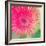 Pink Fun I-Susan Bryant-Framed Photographic Print