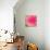 Pink Fun II-Susan Bryant-Photographic Print displayed on a wall