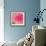 Pink Fun II-Susan Bryant-Framed Photographic Print displayed on a wall