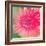 Pink Fun II-Susan Bryant-Framed Photographic Print