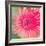 Pink Fun II-Susan Bryant-Framed Photographic Print