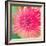 Pink Fun II-Susan Bryant-Framed Photographic Print