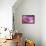 Pink Galaxy-Nyon-Framed Premier Image Canvas displayed on a wall