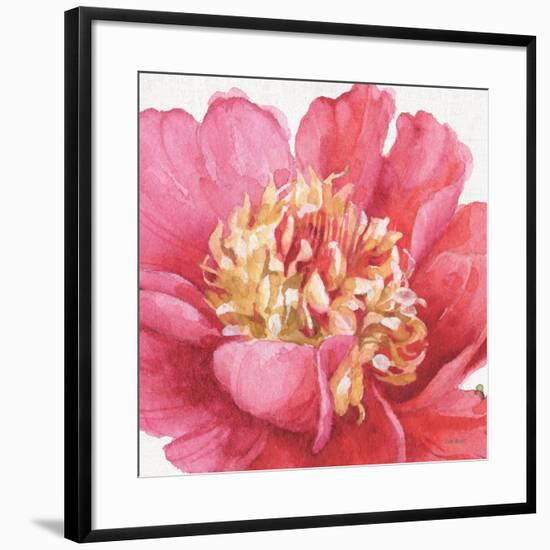 Pink Garden V-Lisa Audit-Framed Art Print