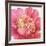 Pink Garden V-Lisa Audit-Framed Art Print