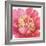 Pink Garden V-Lisa Audit-Framed Art Print