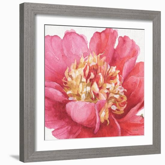 Pink Garden V-Lisa Audit-Framed Art Print