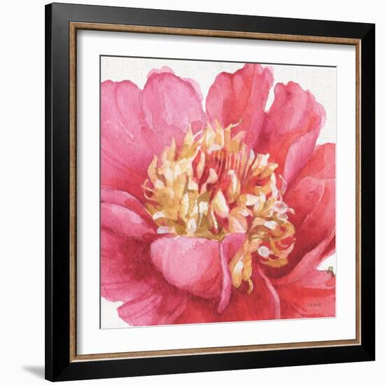 Pink Garden V-Lisa Audit-Framed Art Print