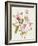 Pink Garden Whispers I-Asia Jensen-Framed Art Print