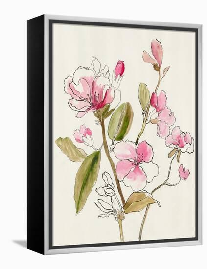 Pink Garden Whispers I-Asia Jensen-Framed Stretched Canvas