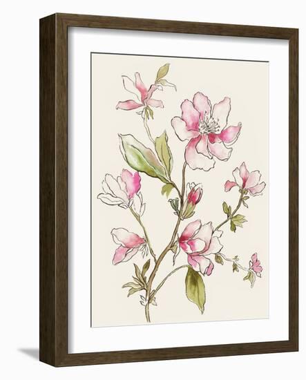 Pink Garden Whispers II-Asia Jensen-Framed Art Print