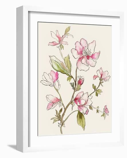 Pink Garden Whispers II-Asia Jensen-Framed Art Print