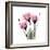 Pink Gentian-Albert Koetsier-Framed Art Print